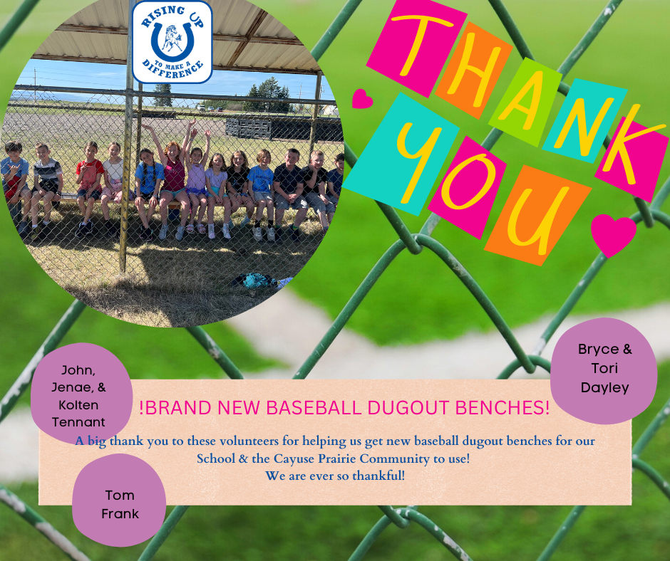 Design Thanking Families for Building New Dugout Benches