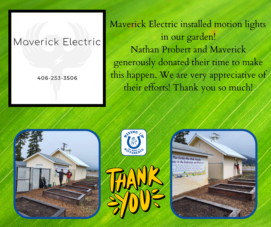 Design thanking Maverick Electric